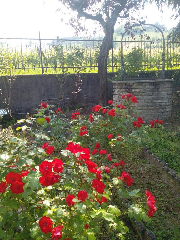 Casa Badinot Guest House Diano dʼAlba Rom bilde